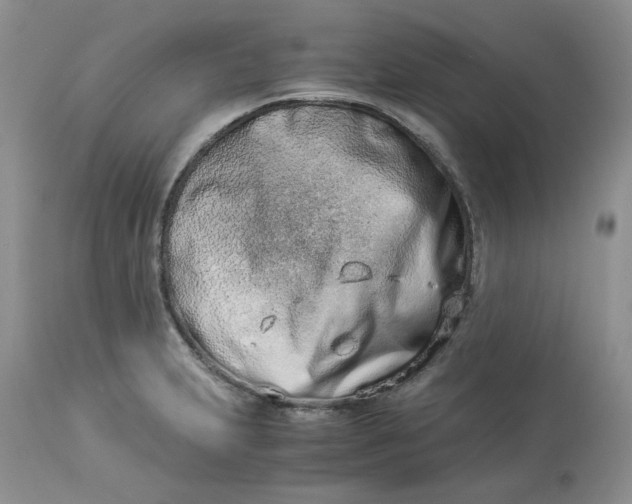 X0000114011231200910231807