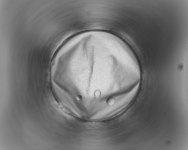 X0000114011236200910231807