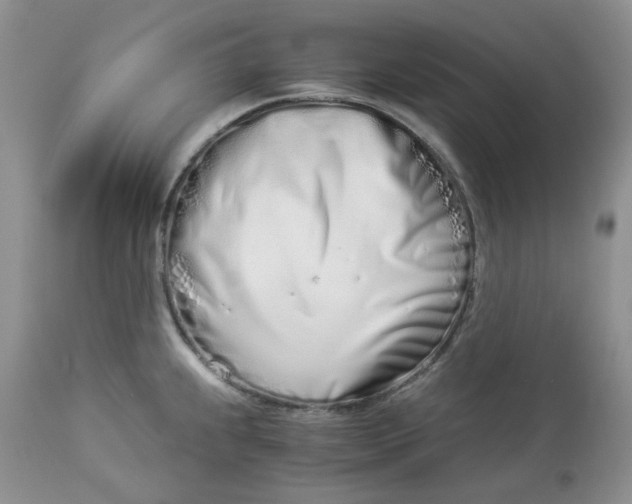 X0000114011239200910231808