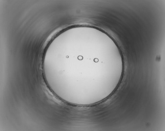 X0000114011240200910231808