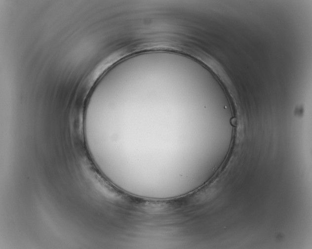 X0000114011242200910231808