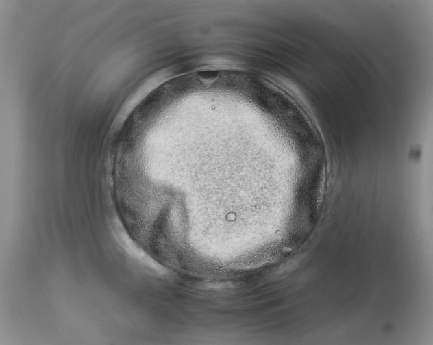 X0000114011243200910231808