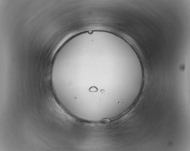 X0000114011244200910231808