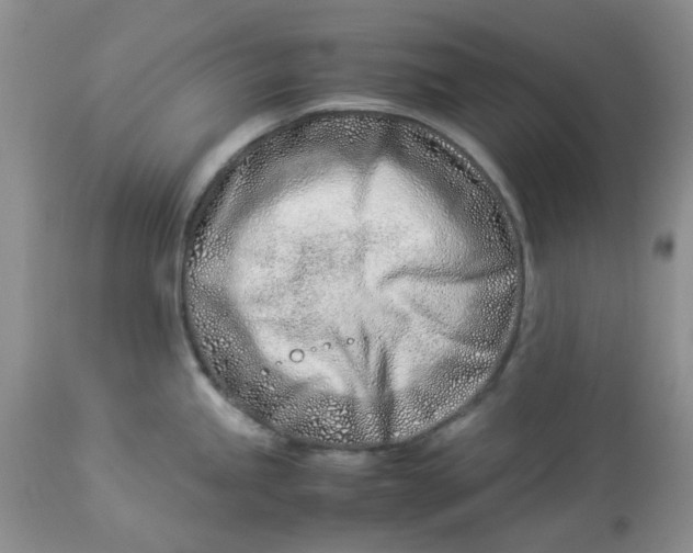 X0000114011245200910231808