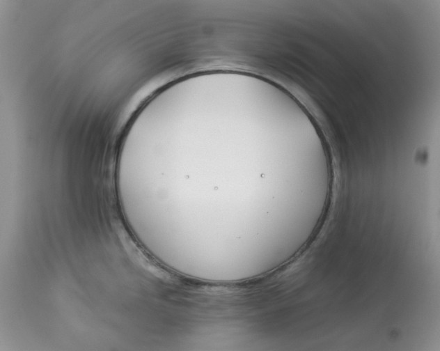 X0000114011246200910231808