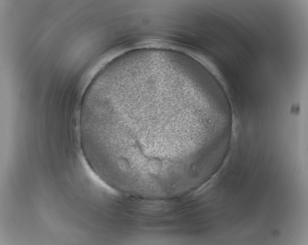 X0000114011247200910231808