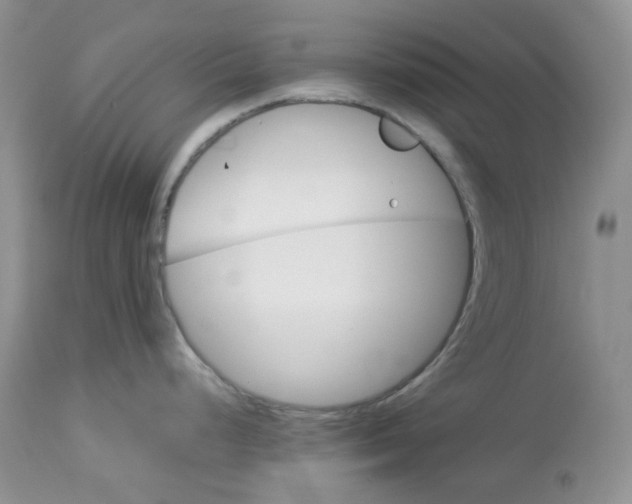 X0000114011248200910231808