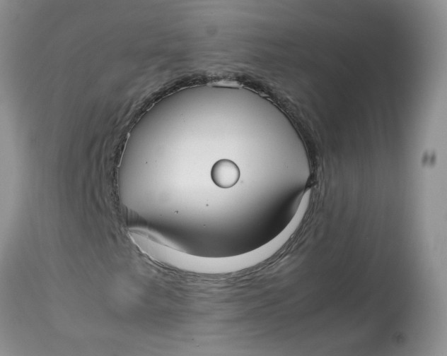 X0000114011249200910231807