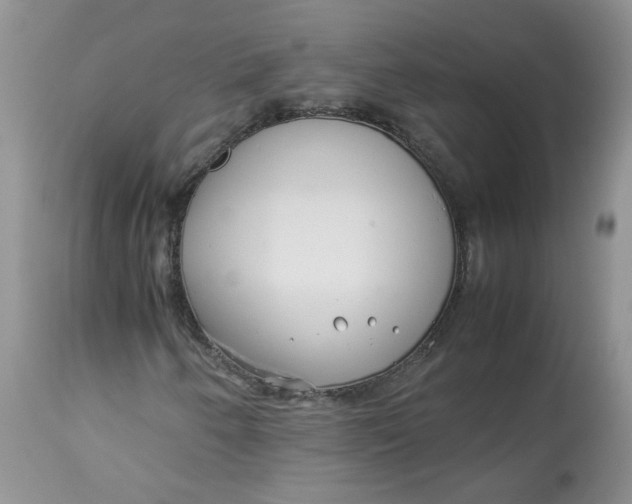 X0000114011250200910231807