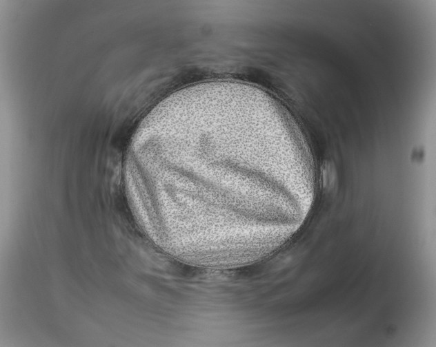 X0000114011251200910231807