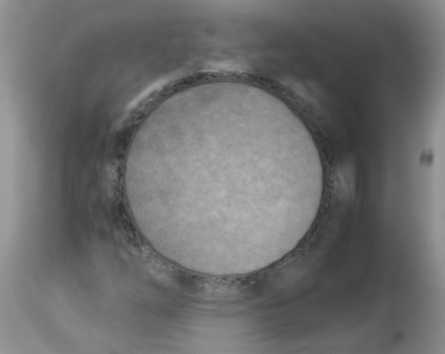 X0000114011254200910231807