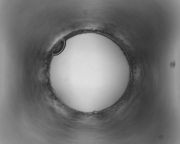 X0000114011256200910231807