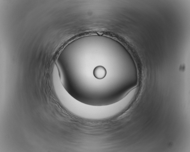 X0000114011257200910231807