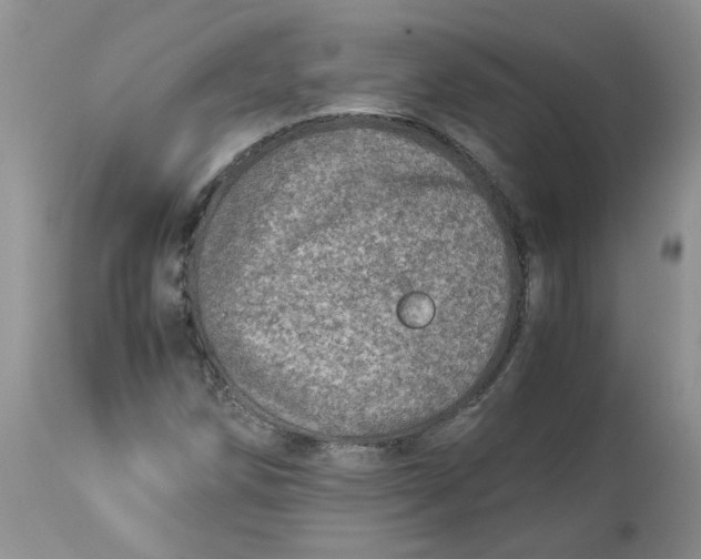 X0000114011258200910231807