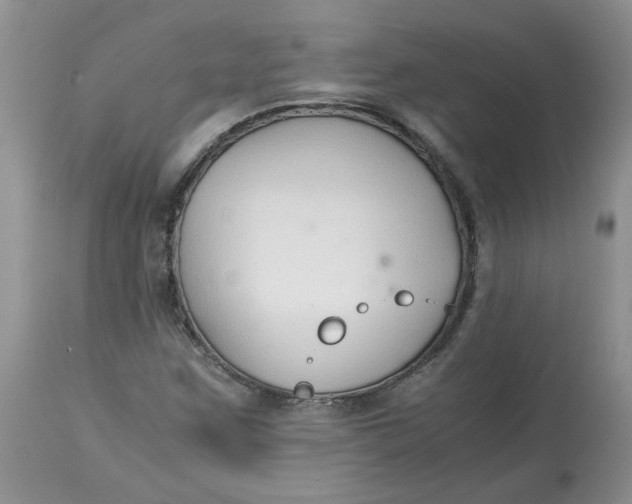 X0000114011259200910231807