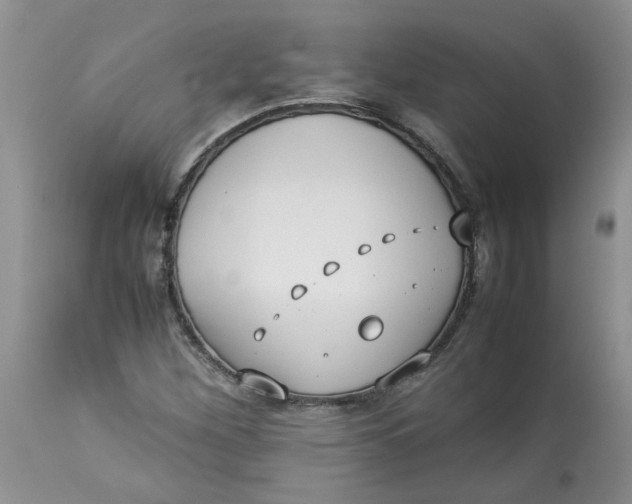 X0000114011260200910231807