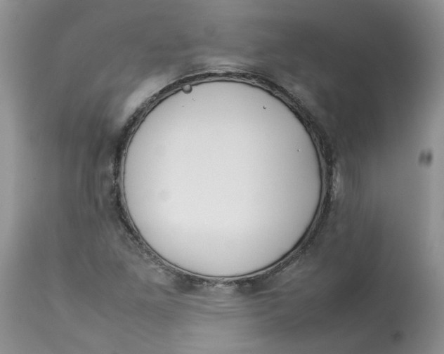 X0000114011261200910231807