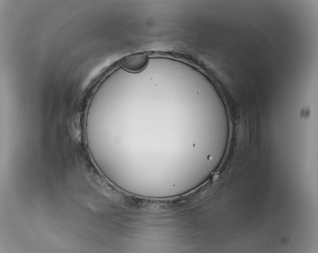 X0000114011262200910231807