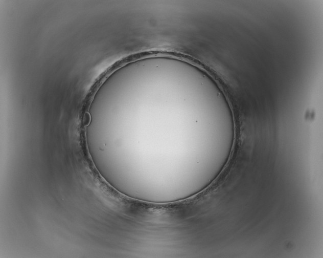 X0000114011264200910231807