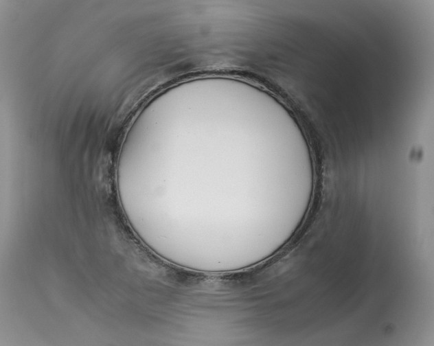 X0000114011265200910231807