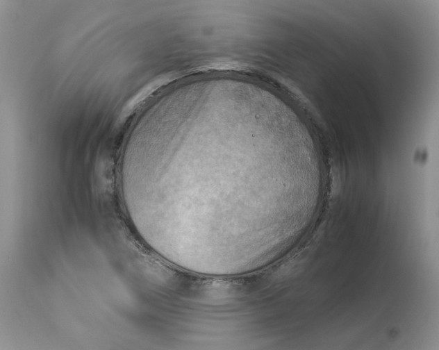 X0000114011266200910231807