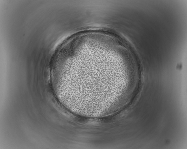 X0000114011267200910231807