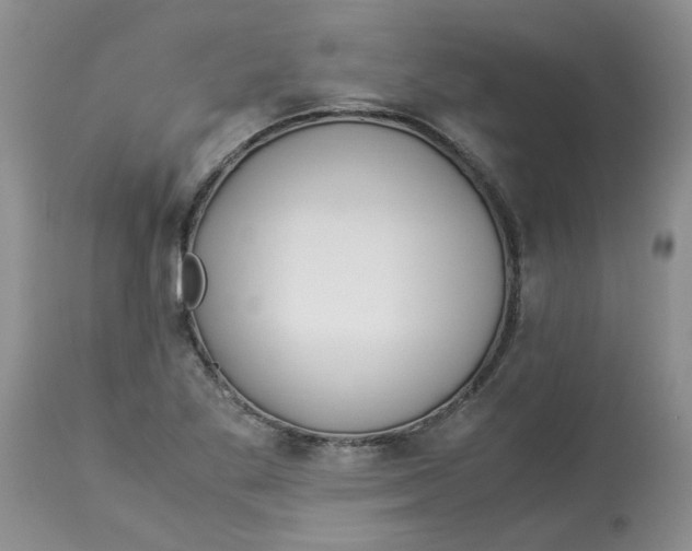 X0000114011269200910231807