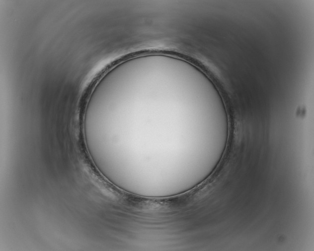 X0000114011270200910231807