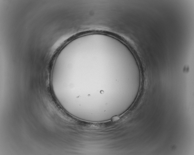 X0000114011271200910231807