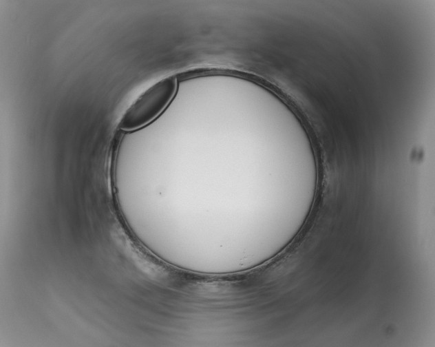 X0000114011272200910231807