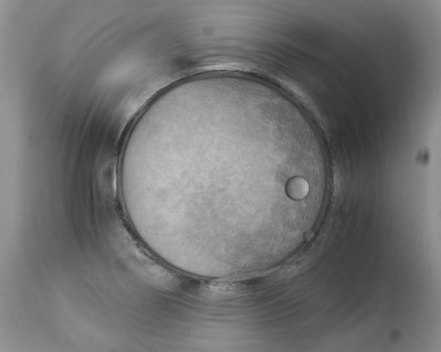 X0000114011274200910231807