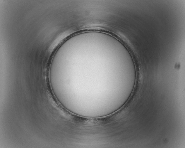 X0000114011277200910231806