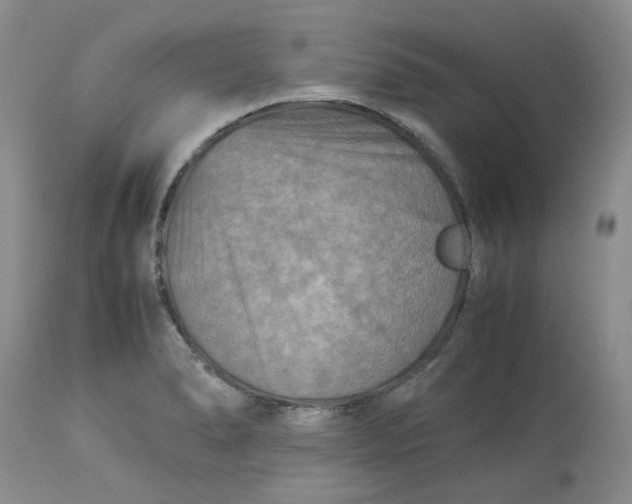 X0000114011278200910231806