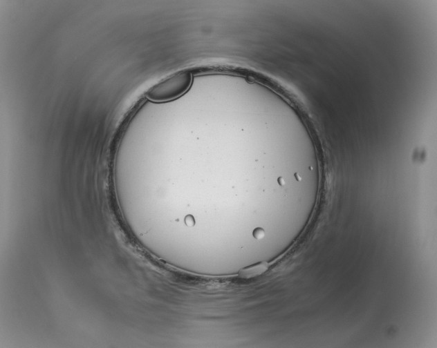 X0000114011279200910231806