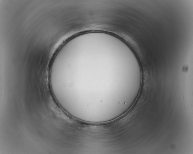 X0000114011280200910231806