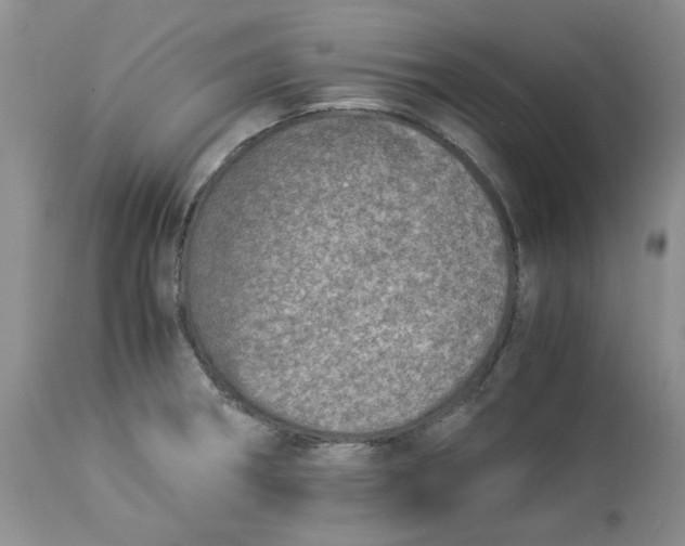 X0000114011282200910231806