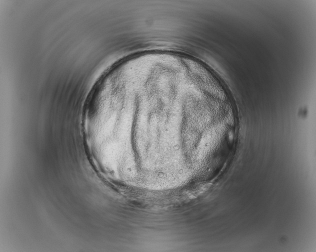 X0000114011283200910231806