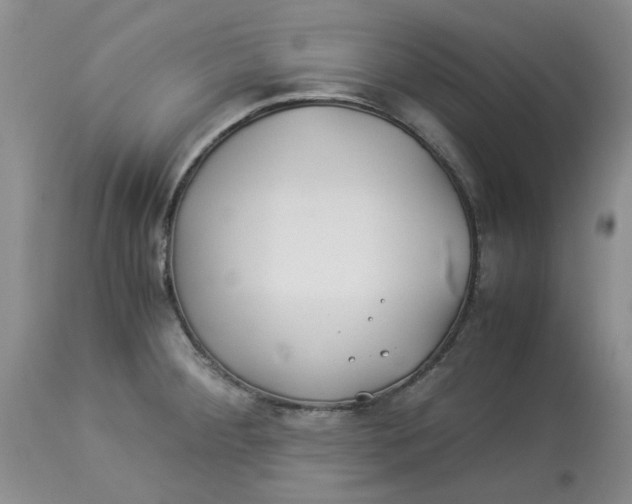 X0000114011284200910231806