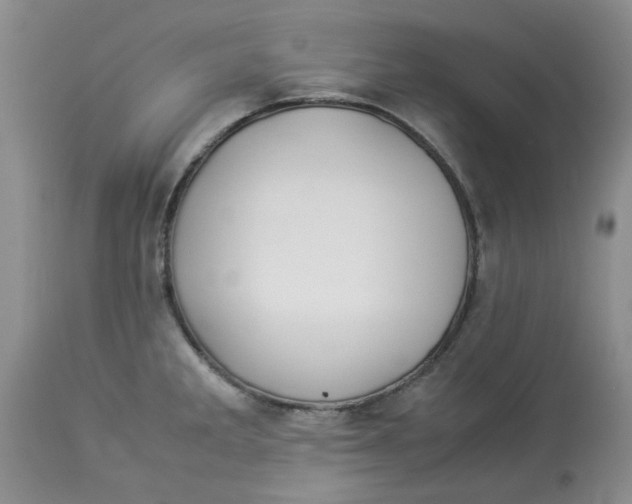 X0000114011285200910231806