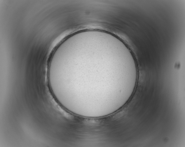 X0000114011286200910231806