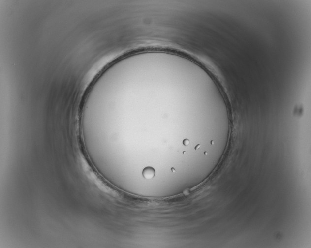 X0000114011287200910231806