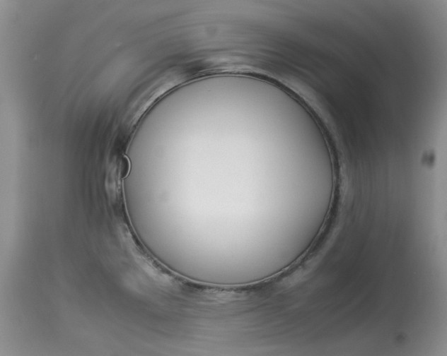 X0000114011289200910231806