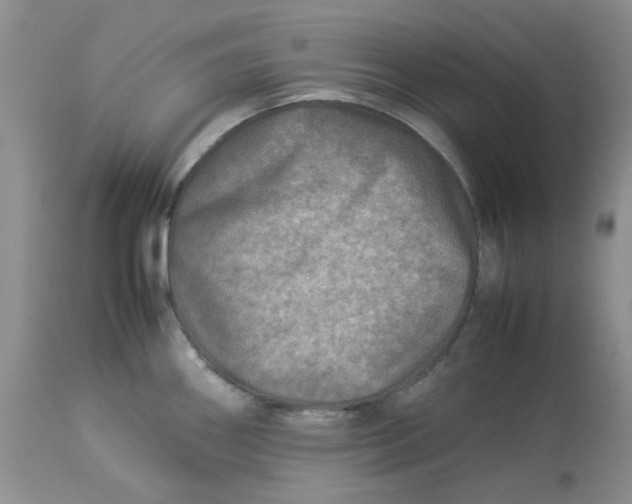 X0000114011290200910231806