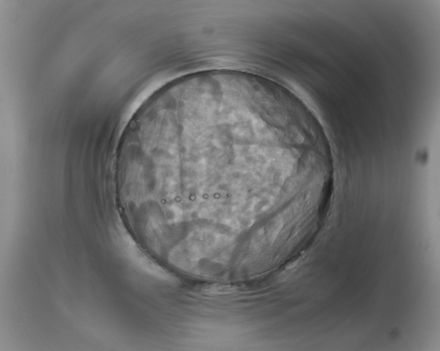 X0000114011291200910231806