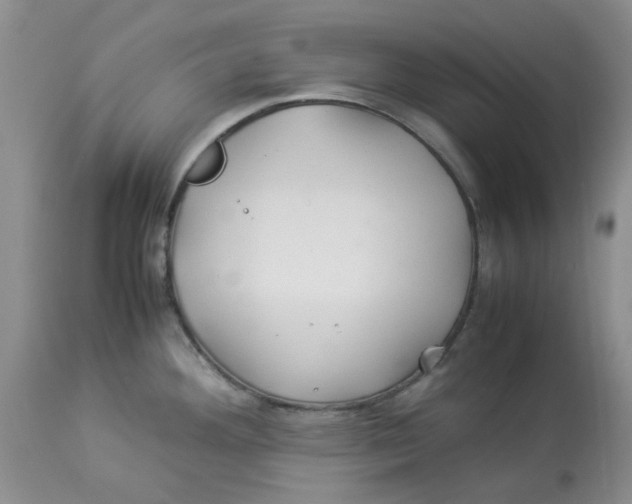 X0000114011292200910231806