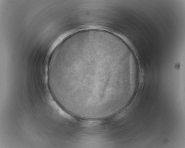 X0000114011294200910231806