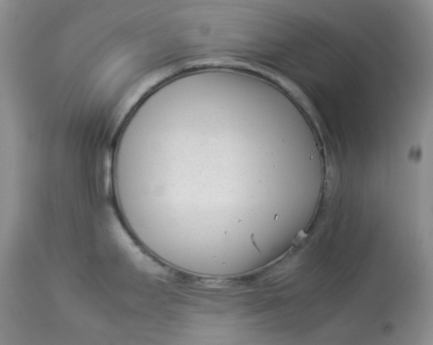 X0000114011295200910231806