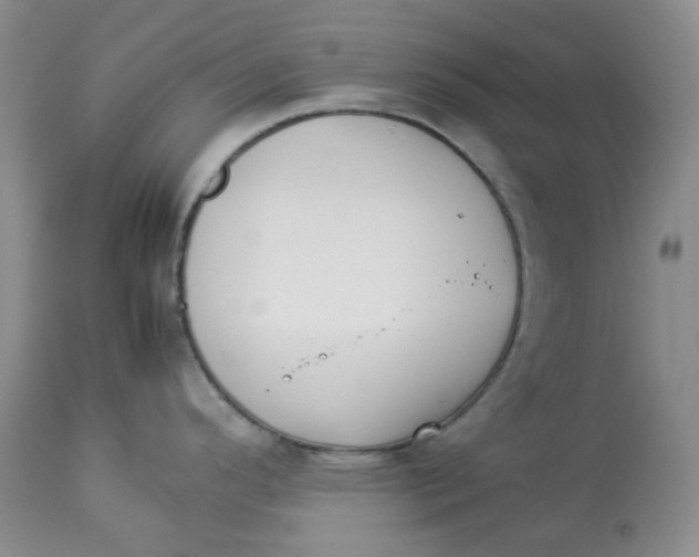 X0000114011296200910231806