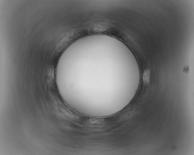 X0000114011299200910231806