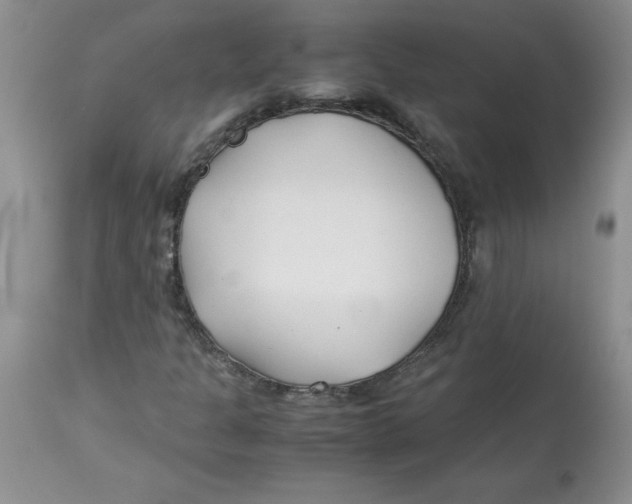 X0000114011301200910231806